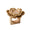 Pareo Napkin Ring in Natural & Brown | Kim Seybert Table Linens at Fig Linens and Home 1