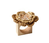 Pareo Napkin Ring in Natural & Brown | Kim Seybert Table Linens at Fig Linens and Home 1