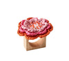 Pareo Napkin Ring in Pink & Orange by Kim Seybert 3" L x 3" W x 2.5" H - Set of 4 Napkin Rings PINK/ORANGE at FIG LINENS AND HOME 1