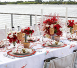 Reef Chic Placemat in White, Coral & Turquoise Set of 2 by Kim Seybert at Fig Linens and Home 5