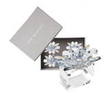 Spectra Napkin Ring in Glacier Blue, Set of 4 in a Gift Box GLACIER BLUE 2.8" L x 2.2" W x 2.4" H at FIG LINENS AND HOME 6