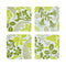 Voyage Iconique Green Set of Coasters by Le Jacquard Francais at Fig Linens and Home