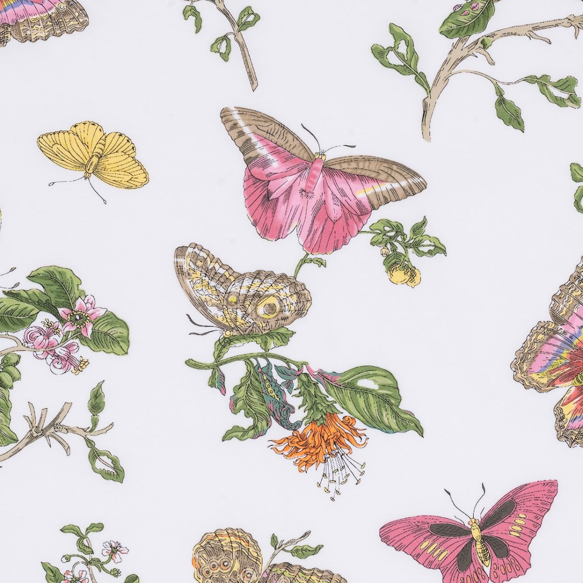 Pajamas Fabric Swatch - Matouk Baudin Butterfly Pink - Fig Linens and Home 1