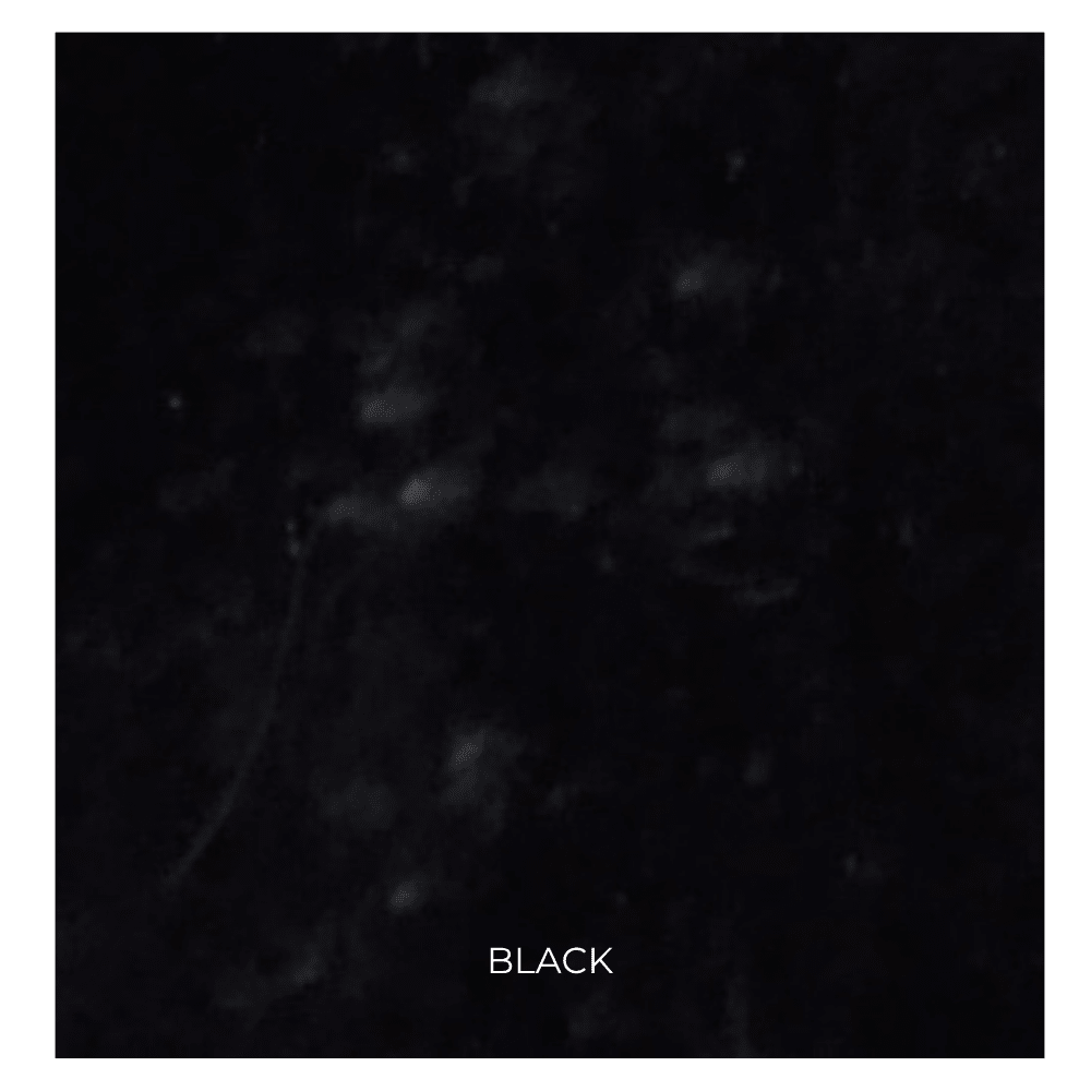 Black Color Chip for Shagreen Luxury Bath Accessories by Mike + Ally at Fig Linens and Home