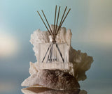 Ocean Mist and Sea Salt Reed Diffuser by Nest at Fig Linens and Home 2