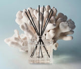 Ocean Mist and Sea Salt Reed Diffuser by Nest at Fig Linens and Home 3