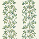 Thibaut Mangrove Tree Sage Green Textiles Swatch for Ryan Studio Throw Pillow