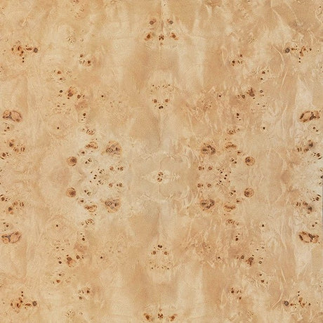 Bryce Burlwood Dining Table by Worlds Away at Fig Linens and Home - Finish Sample