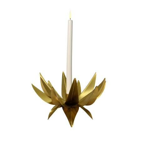 Worlds Away Sparky Palm Tree Candle Votive In Antique Brass 7.1" H x 9.4" W  x 9.4" D Antique Brass at FIG LINENS AND HOME 1