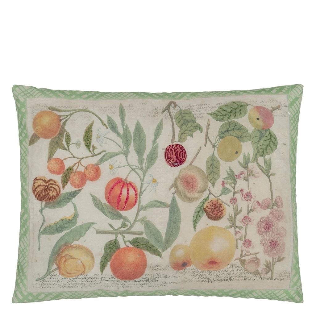 Oranges Canvas Decorative Pillow - John Derian - 2