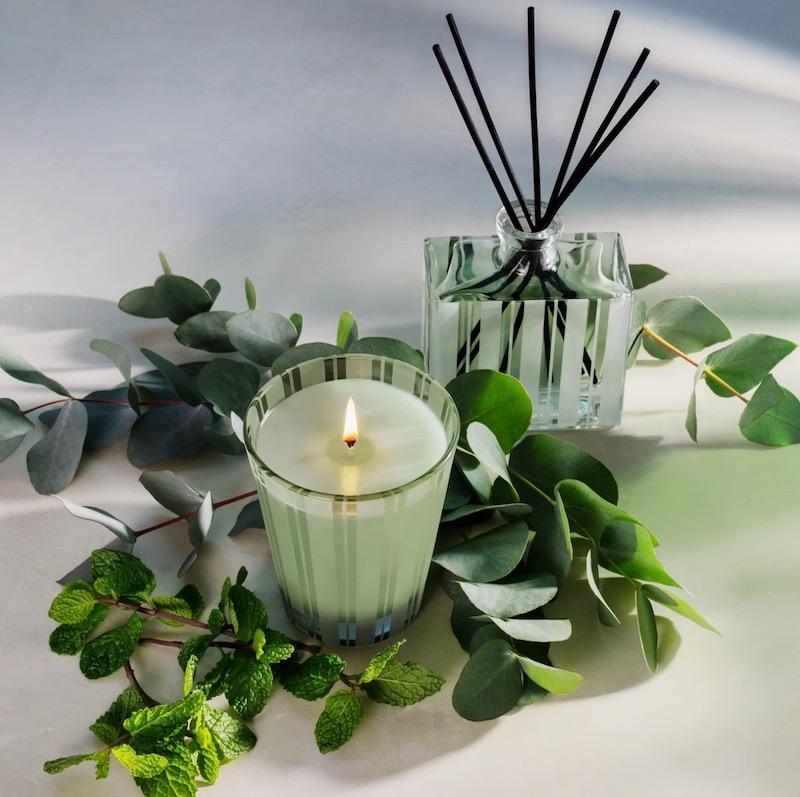 Nest Fragrances - Wild Mint and Eucalyptus Classic Candle shown with Diffuser