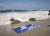 Fig Linens - Nuage Rug by Abyss & Habidecor - Lifestyle-beach