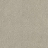 Fig Linens - Liberty Quilted Velvet Shams by Legacy Home -  Taupe