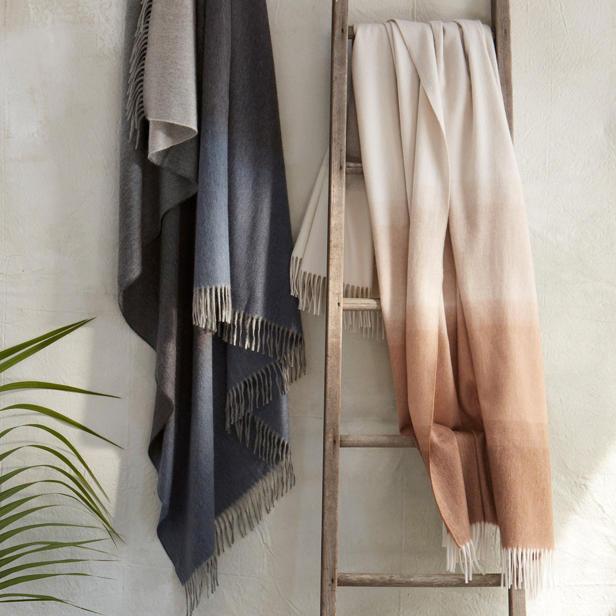 Matouk August Cashmere Throw Blanket | Fig Linens and Home