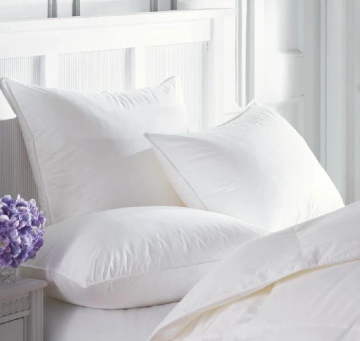 Downright Intera Firmasoft White Goose Down Pillow by Downright - Medium Standard Pillow 20x26 at FIG LINENS AND HOME - 1