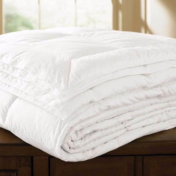 Comforter - Arcadia Down Free Comforters and Duvet Inserts - Fig Linens and Home